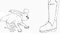 Thumbnail for version as of 20:19, 2 June 2009